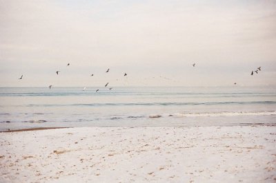 ​早更女友经典语句33句