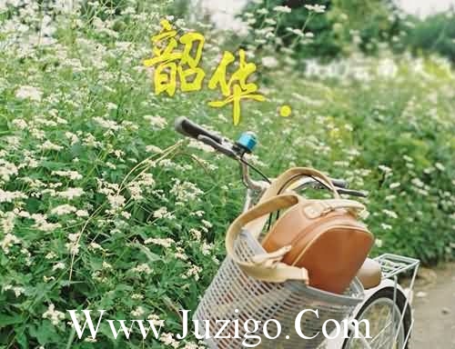 关于朋友圈(生活文案大全,适合发朋友圈感慨生活的句子)