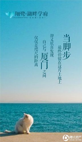 一句话形容厦门 赞美厦门风景的词语、句子