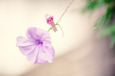 ​下雨感慨说说心情适合下雨天发的朋友圈(45句)