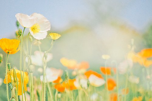我不是药神经典台词28句