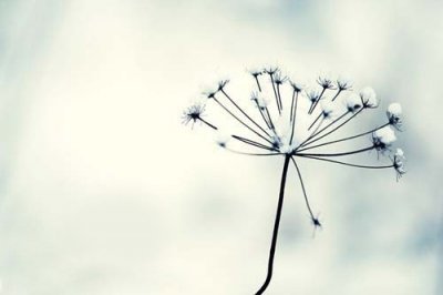 ​古代写元宵节的诗词描写元宵节的经典诗词(精选26句)