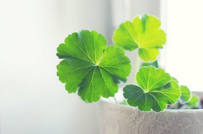 ​心情不好想喝酒的说说不开心想喝酒的心情说说(16句)