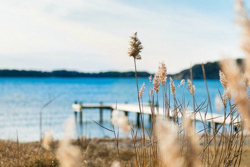 有关旅行的英文句子