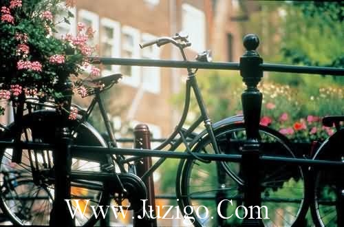 考试后语录38句