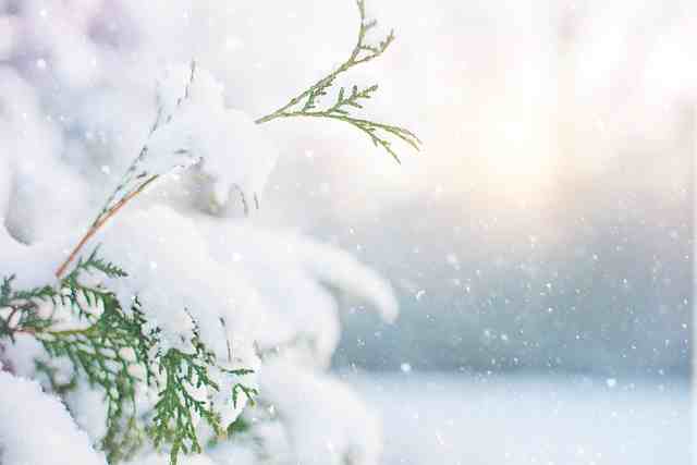 秋天的第一场雪说说（精选60句）