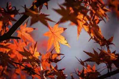 ​10月好的空间说说（精选50句）