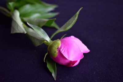 ​女生爱情个性签名