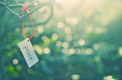 ​与雨有关的谚语或俗语62句