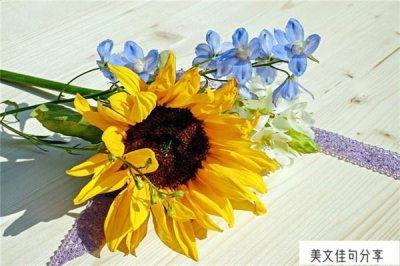 ​三年感悟人生句子（时光感慨的一段话52句）