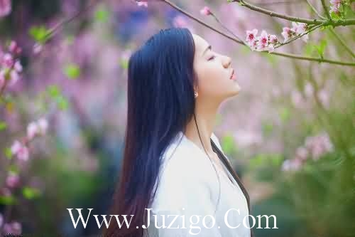 发展标语86句