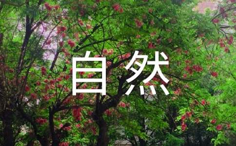 大漠自然风光古诗
