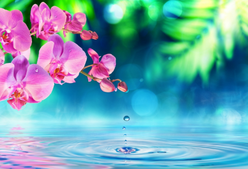 1689520710229746.png image.png