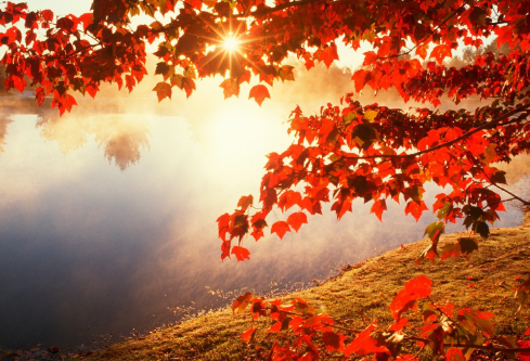 1688669613481525.png image.png