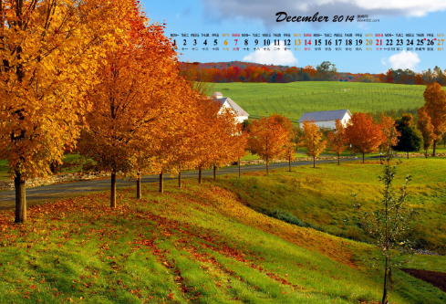 1688668116518963.png image.png