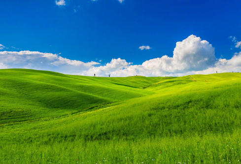 1687323473395462.png image.png