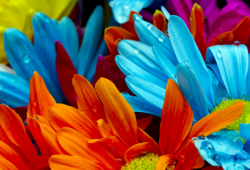 1688632241385134.png image.png