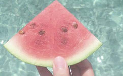 《夏日绝句》古诗
