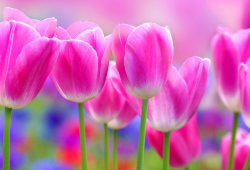 1688684939764029.png image.png