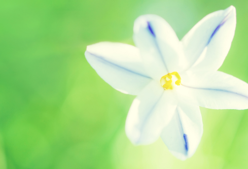 1688687604135894.png image.png