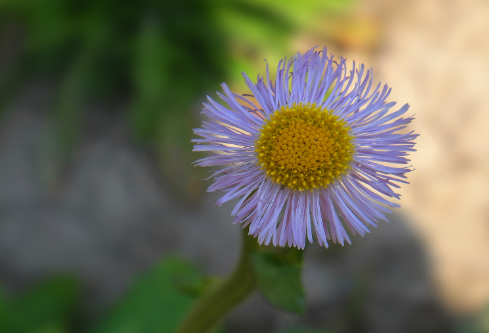 1688710095884130.png image.png