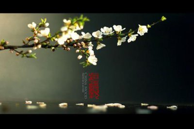 ​绿色企业的宣传标语 绿色种植的口号标语