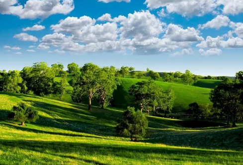 1688735190122532.png image.png