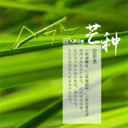 安全警示标语大全