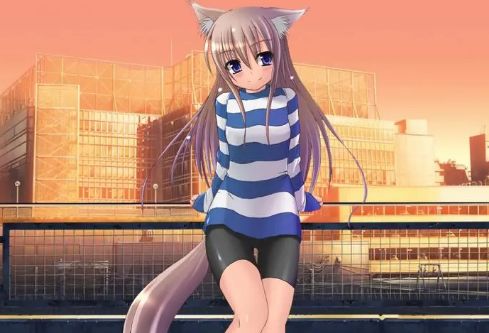 1684224912335949.png image.png