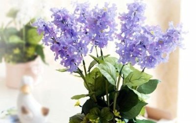 ​简洁的爱情的句子摘录38条