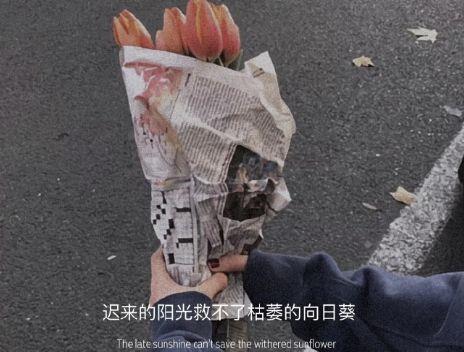 简短的奋斗正能量句子集合65条