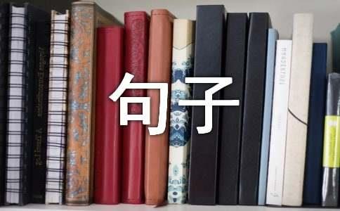 不负韶华的句子精选15篇