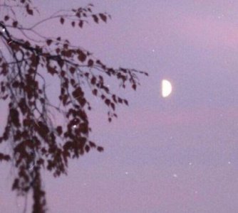 ​2025虎年春节祝福语精美句子(精选99句)