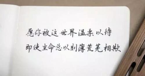 简洁的富含哲理句子摘录86条