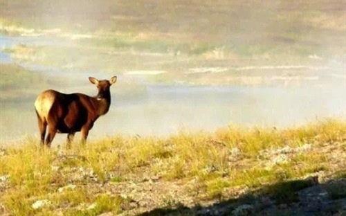 作文优美语句素材