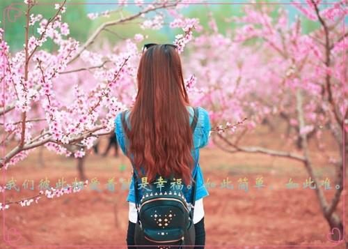 关于花瓣飘落的优美句子