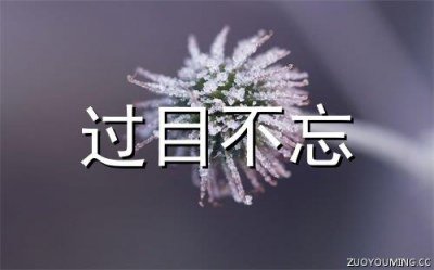​淡淡忧伤的句子说说心情 唯美诗意的爱情说说短语