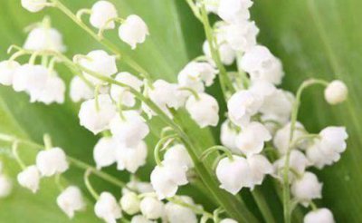 ​重阳节登高说说_九九重阳心情说说