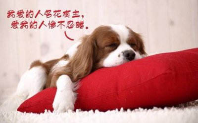 ​运动会口号英语怎么说(29句)