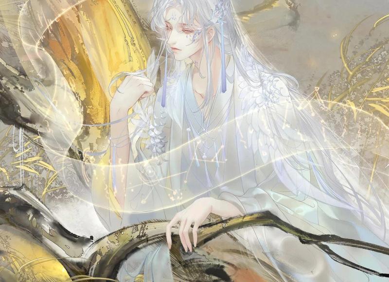 描写腿的优美句子精选337句 描写腿的优美句子精选337句