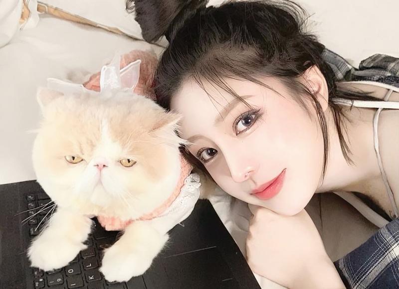 和谐社会与小康对句子精选377句 和谐社会与小康对句子精选377句