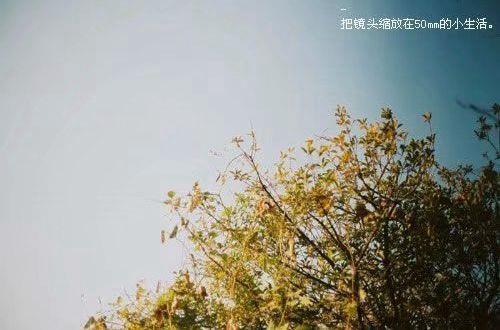 期待2025年的说说 迎接2025发朋友圈的句子