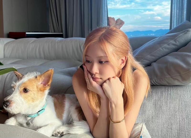 优美语段摘抄加赏析(摘抄句子优美)