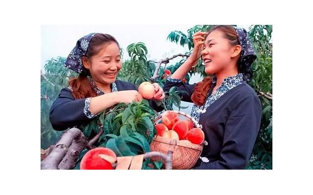 有关秋叶的句子精选12句