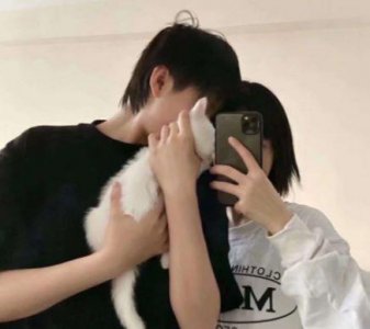 ​简单的抖音最火的伤感句子摘录
