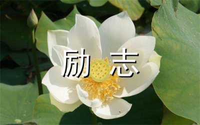 ​走心的伤感文案80篇(精选65句)