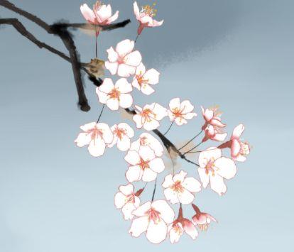 有关伤感个性句子摘录46句