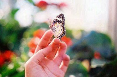 ​qq个性签名伤感的句子 最伤感的qq个性签名(65句)