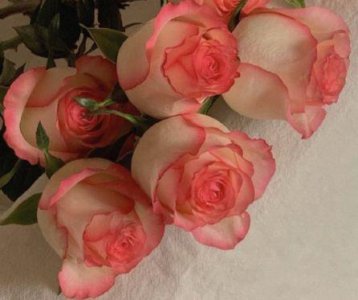 ​一起走过十年经典语句 十年如一日感情的句子(精选34句)