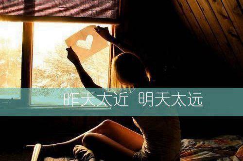 午安语录